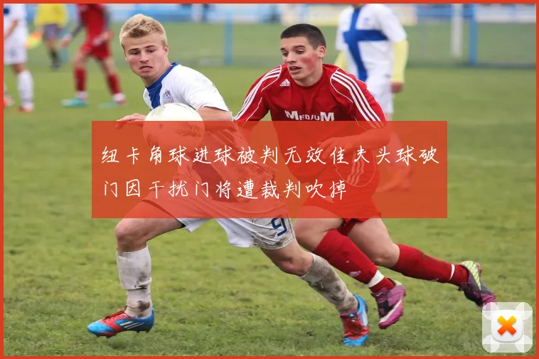 纽卡角球进球被判无效佳夫头球破门因干扰门将遭裁判吹掉