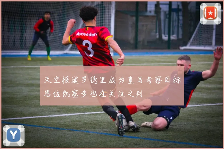 天空报道罗德里成为皇马考察目标恩佐凯塞多也在关注之列