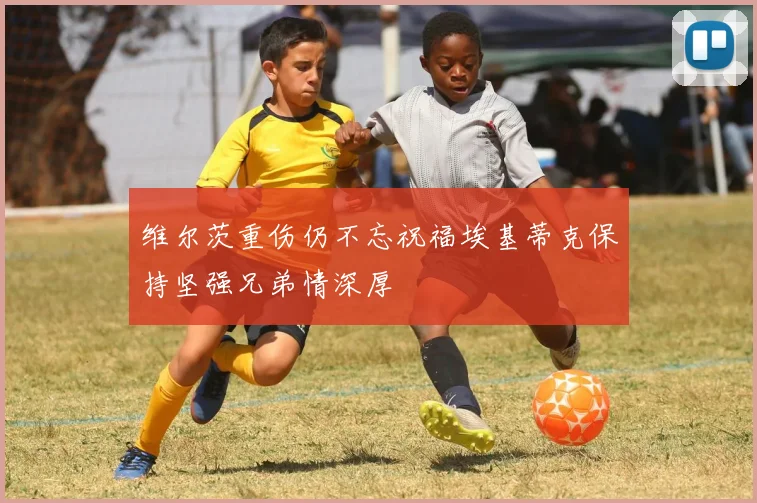 维尔茨重伤仍不忘祝福埃基蒂克保持坚强兄弟情深厚